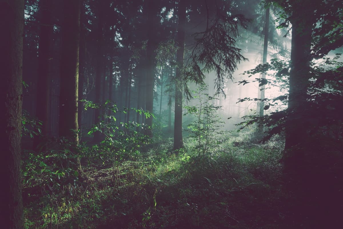 How to Overcome Immunity to Change